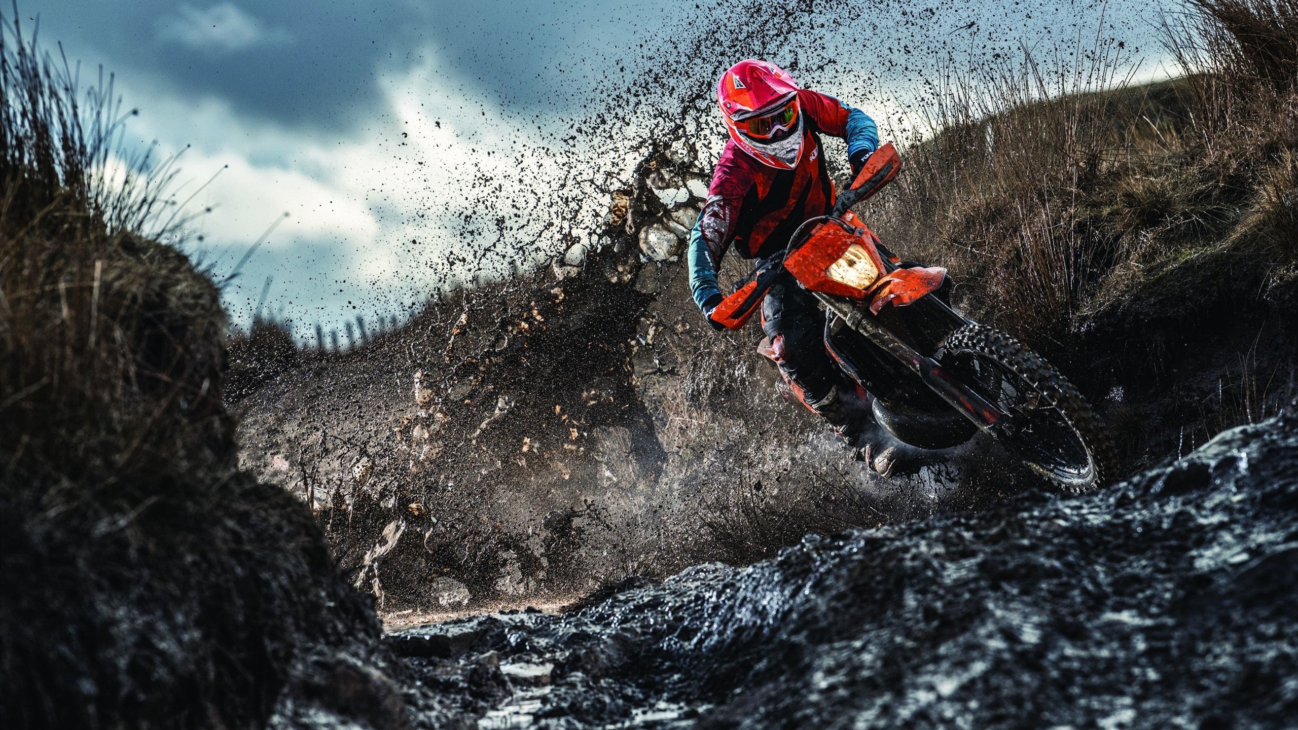 森林狼关键战突围魔术,恩比德成为全场焦点